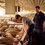Chad Bell Family in Pig Barn
