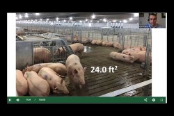 Prop 12 Webinar
