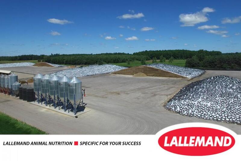 Lallemand QS.jpg