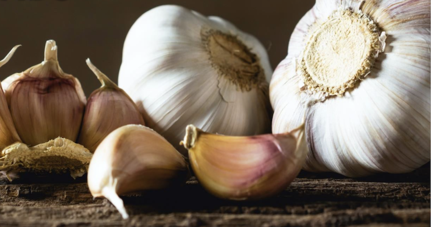 garlic.png