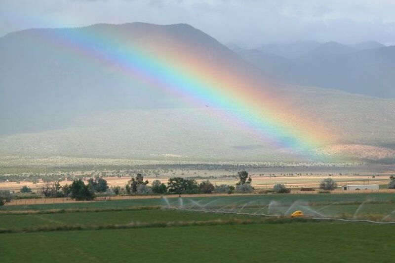 Rainbow_Irrigation
