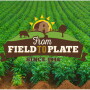 field.jpg