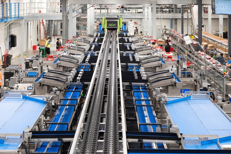 stemilt packing line