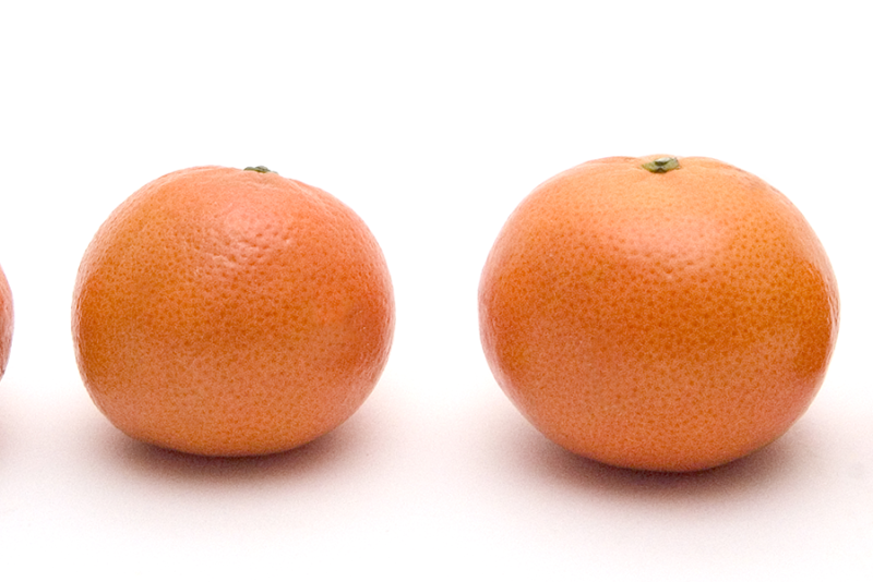 citrus-1.png