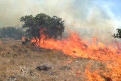West_Texas_Wildfire
