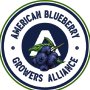 American Blueberry
