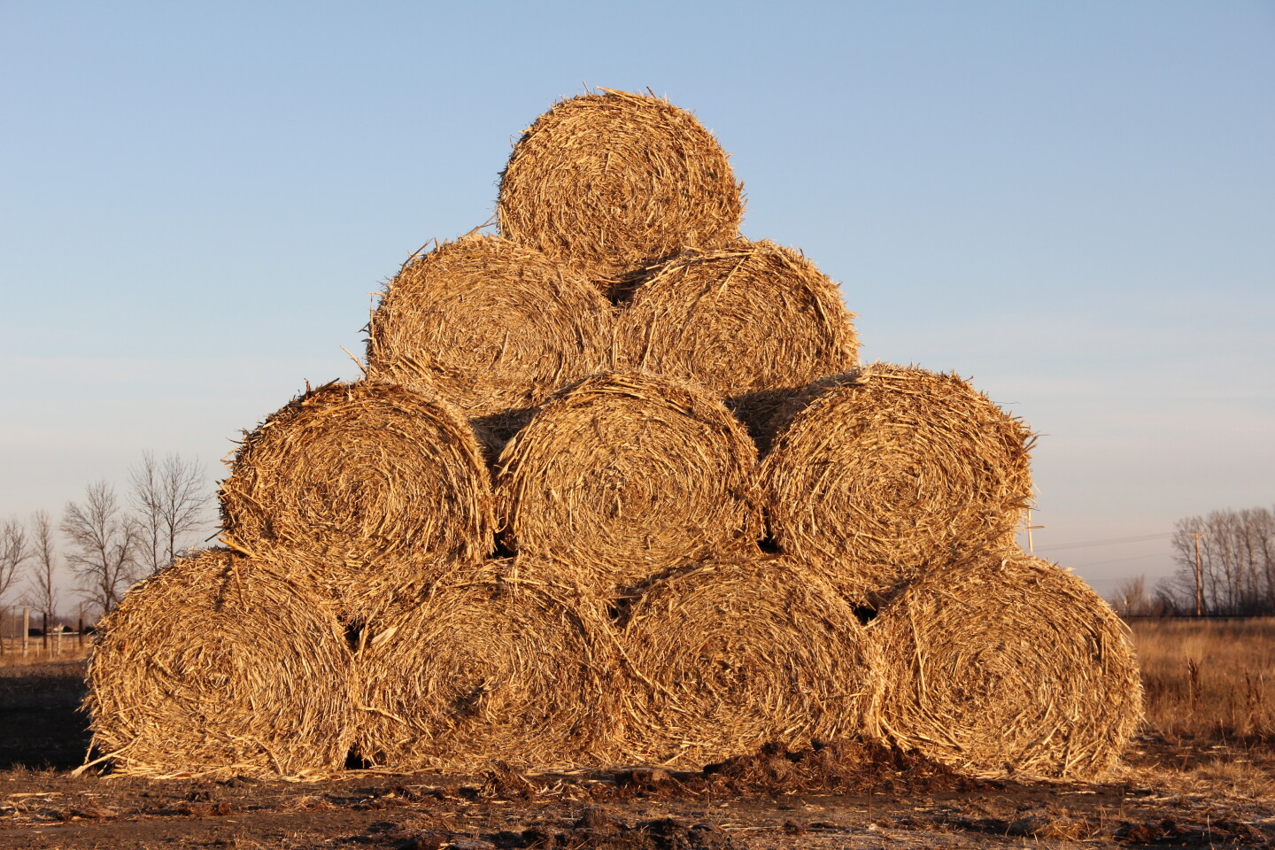Hay bales