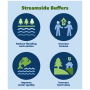 Streamside-buffers.png