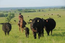 Some question OCM's support for ranchers.