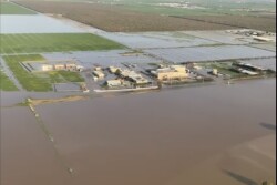 California Dairy Flooding