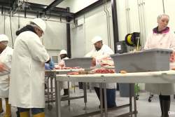 Meat Processing -Hertzog Meat Co