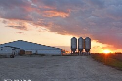 hog barn feed sunset - Lindsey Pound