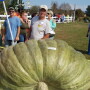 Record Pumpkin in RI