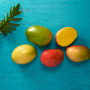 Mango suppliers say conditions are ideal for a record-breaking season of mango volumes.