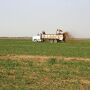 Manure Spreader_Catherine Merlo