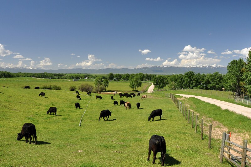 Elk Range Ranch