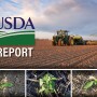 USDA Report - planting
