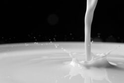 Milk_Canva
