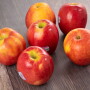 Apple marketing business updates.