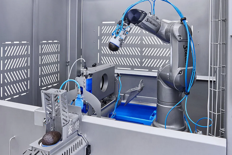 Kronen GmbH automated avocado processor