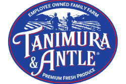 ta logo