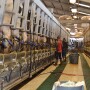 "To be truly successful, it’s all about the people behind the cows.” 