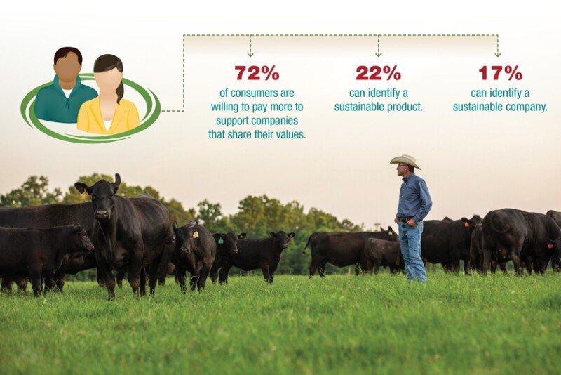 Corporate commitments are a response to consumers and investors.