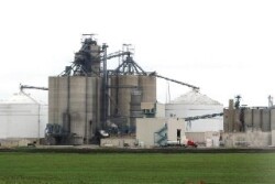 biodiesel