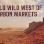Wild Wild West of Carbon Markets
