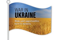 War in Ukraine