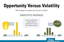 Bull-Bear Outlook