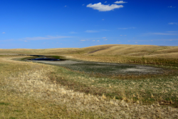 Waterhole