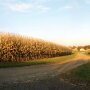Farmer Mac economist Jackson Takach says relatively low interest rates, better commodity prices, inflation and solid cash inflows are all factors contributing to the rapid rise in farm real estate values. 