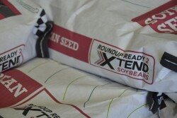 Xtend_Soybeans.JPG