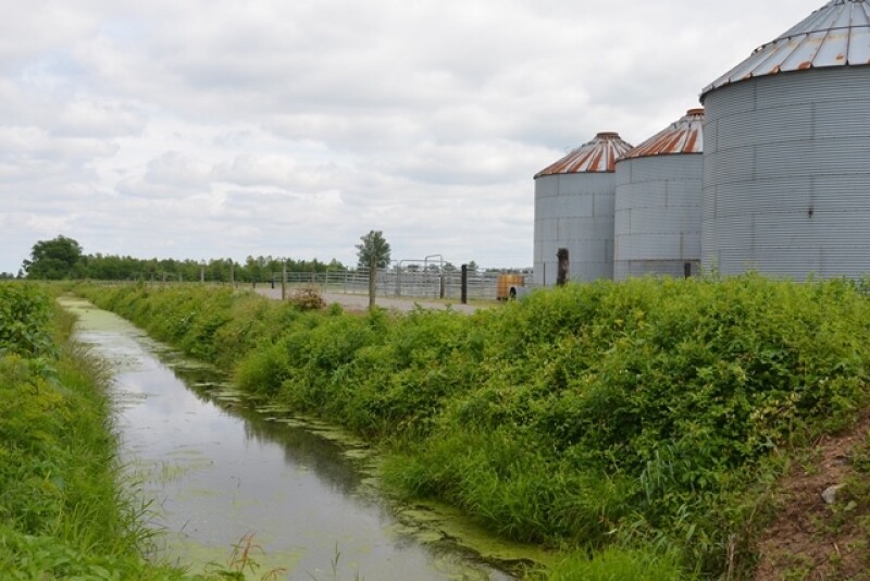 According to Francis Thicke, dairy farmer and former USDA soil scientist, a goal to reduce this leeching was established in 2013, but no progress has been made. However, he feels there are solutions readily available.