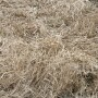 poor_forage