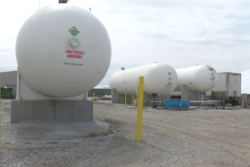 anhydrous