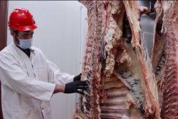 Raider Red Meats, a retail meat store at Texas Tech University, carved out a niche during the pandemic, proving Texas Tech University Department of Animal and Food Sciences is a cut above the rest. 