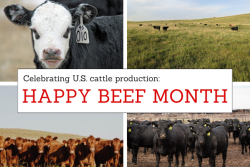 Happy Beef Month - May 2023