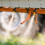 Close-up photo of spraying