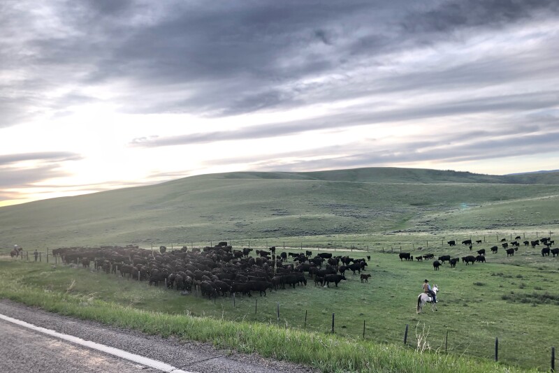 Bair Ranches