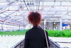 NYC Agriculture Collective hosts NYC AgTech Week 2019.