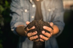 Indigo Ag launches a new initiative, Indigo Carbon.