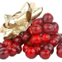 B1CDE3DB-68E4-449B-B26115399B7D9AC7.png