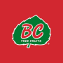 BC tree