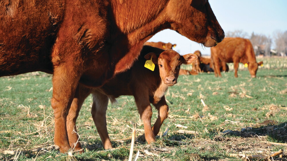 What impact will coronavirus have?
