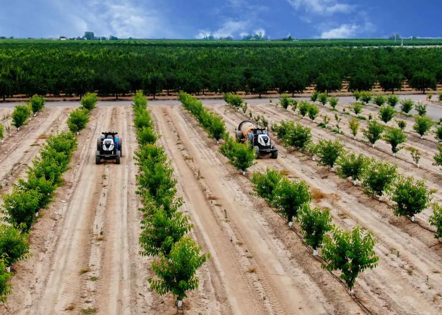 Bluewhite autonomous solutions