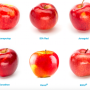 74C24EA5-BB4D-4E86-8452F9F4320470E9.png