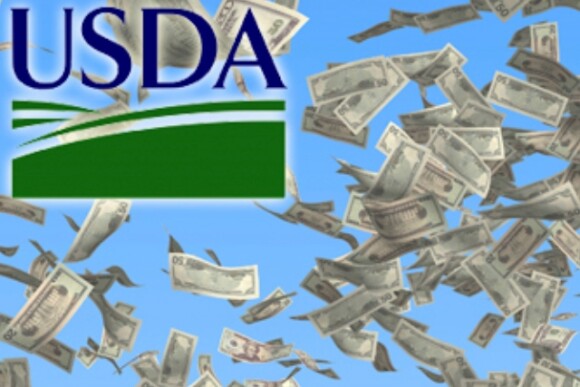 usda_-_flying_money.jpg