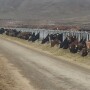 Idaho Dairy